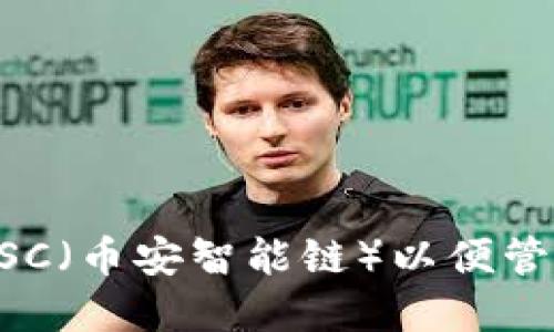 如何在TP钱包中设置BSC（币安智能链）以便管理和使用你的数字资产