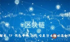 深入解析 TP 钱包中的 BS