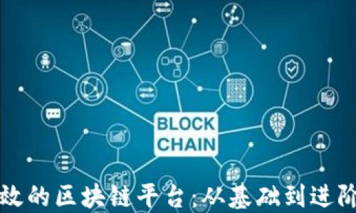 
如何搭建高效的区块链平台：从基础到进阶的全面指南