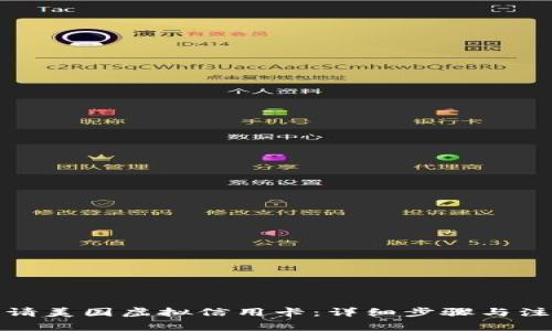 如何申请美国虚拟信用卡：详细步骤与注意事项