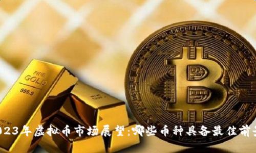 2023年虚拟币市场展望：哪些币种具备最佳前景？