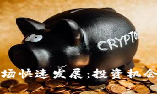 数字货币市场快速发展：投资机会与风险分析