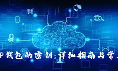 如何找到TP钱包的密钥：详细指南与常见问题解答