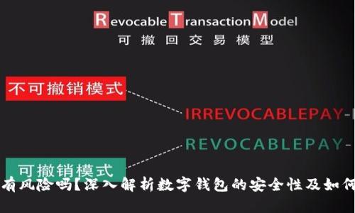 下载数字钱包有风险吗？深入解析数字钱包的安全性及如何保护您的资产