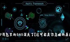 TP钱包里的BNB消失了？这可