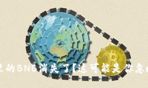 TP钱包里的BNB消失了？这可能是你忽略的原因