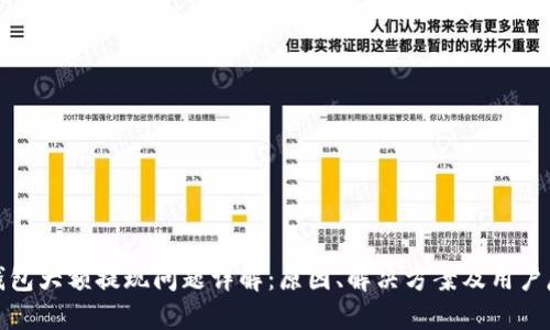 TP钱包大额提现问题详解：原因、解决方案及用户反馈