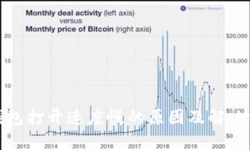 TP钱包打开速度慢的原因及解决方案