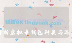 全面解析虚拟币钱包种类