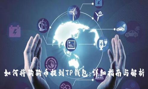 如何将狗狗币提到TP钱包：详细指南与解析
