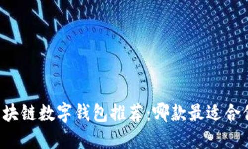 区块链数字钱包推荐：哪款最适合你？
