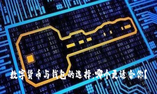 数字货币与钱包的选择：哪个更适合你？