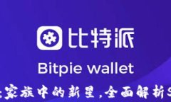 数字币SOL：家族中的新星
