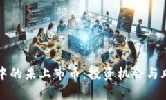 TP钱包中的未上市币：投资