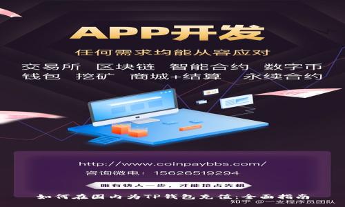 如何在国内为TP钱包充值：全面指南