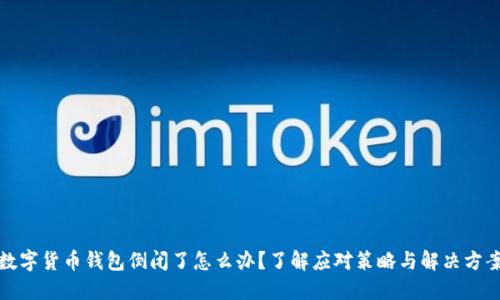 数字货币钱包倒闭了怎么办？了解应对策略与解决方案