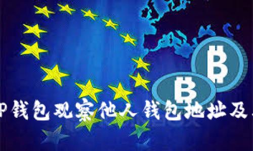 如何通过TP钱包观察他人钱包地址及其交易记录