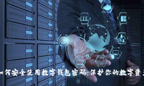 如何安全使用数字钱包密码：保护你的数字资产