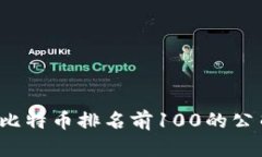 2023年比特币排名前100的公