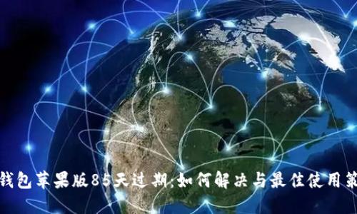 TP钱包苹果版85天过期：如何解决与最佳使用策略
