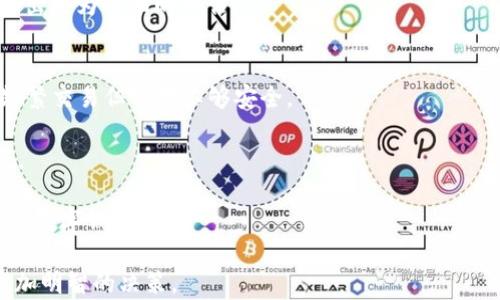
bibiao全面解析TP钱包与狗狗币：数字资产的未来/bibiao

关键词：
TP钱包, 狗狗币, 数字资产/guanjianci

在数字货币的浪潮中，TP钱包和狗狗币（Dogecoin）无疑是最受关注的两个概念。TP钱包作为一种安全、便捷的数字资产管理工具，能够帮助用户更好地存储和管理多种加密货币。而狗狗币，起初只是为了搞笑而创建的加密货币，近年来则逐渐走进了投资者的视野，成为了数字资产市场的重要组成部分。本文将深入探讨TP钱包与狗狗币之间的关系，以及它们在数字资产领域的重要性和应用。

一、TP钱包简介
TP钱包（Trust Wallet）是一个去中心化的数字货币钱包，用户能够通过它安全地存储和管理自己的加密货币资产。TP钱包支持多种区块链网络和代币，具备用户友好的界面和丰富的功能，非常适合新手和专业用户使用。

TP钱包的主要特点包括以下几个方面：
ul
    listrong安全性：/strongTP钱包采用高强度加密和私钥存储技术，确保用户数字资产的安全。/li
    listrong多链支持：/strong用户可以在TP钱包中管理多种区块链资产，不受限于单一的区块链网络。/li
    listrong去中心化：/strong用户的资产完全掌握在自己手中，没有中间环节，保障了资产的自主权。/li
    listrong用户友好界面：/strong即使是初学者也能够轻松上手，便于进行各类操作。/li
/ul

二、狗狗币简介
狗狗币是基于莱特币的加密货币，它于2013年由软件工程师马克斯·波普和杰克逊·帕尔默创建。起初，狗狗币是为了对抗比特币的“优越感”而诞生的，但很快它凭借其幽默的形象和社区的力量，获得了越来越多用户的支持。

狗狗币的特点包括：
ul
    listrong社区驱动：/strong狗狗币的成功，离不开其活跃且团结的社区，他们经常组织各种活动，推动狗狗币的发展。/li
    listrong交易速度快：/strong狗狗币的区块生成时间仅为1分钟，因此其交易速度相较于比特币等货币更快。/li
    listrong低交易费用：/strong狗狗币的交易费用相对较低，适合小额交易和日常使用。/li
/ul

三、TP钱包与狗狗币的结合
在TP钱包中，用户不仅可以轻松存储狗狗币，还可以进行转账、交易及其他操作。对于狗狗币的持有者来说，TP钱包是一个理想的选择。

使用TP钱包管理狗狗币的优势包括：
ul
    listrong安全存储：/strong用户的狗狗币能够安全地存储在TP钱包中，降低被盗风险。/li
    listrong便捷的交易体验：/strongTP钱包提供简化的交易流程，用户能够迅速发送和接收狗狗币。/li
    listrong实时市场数据：/strongTP钱包内置实时行情查看功能，方便用户随时关注狗狗币的价格动态。/li
/ul

四、如何在TP钱包中使用狗狗币？
使用TP钱包管理狗狗币的流程相对简单，以下是详细步骤：

h41. 下载和安装TP钱包/h4
用户首先需要在官方渠道下载TP钱包，并根据提示完成安装。在此过程中，确保下载的是官方网站的应用，以防受到恶意软件的侵害。

h42. 创建新钱包或导入旧钱包/h4
安装完成后，用户可以选择创建一个新钱包或导入之前的狗狗币钱包。如果是新用户，建议创建新钱包，并妥善保管助记词和私钥。

h43. 添加狗狗币资产/h4
在TP钱包中，用户可以通过资产管理功能添加狗狗币。在资产列表中搜索狗狗币并添加即可。

h44. 进行交易/h4
用户可以通过TP钱包进行狗狗币的发送或接收交易。在首页中选择转账，输入接收地址及金额，确认后即可完成交易。用户也可以在交易历史中查看自己的交易记录。

五、TP钱包和狗狗币的前景分析
随着数字货币市场的发展，TP钱包与狗狗币都有着良好的未来。TP钱包的多元化功能将吸引越来越多的用户，而狗狗币作为成熟的加密资产，也将继续赢得投资者的青睐。

特别是狗狗币社区的持续推动和新的使用场景的开发，可能会使得狗狗币的价值进一步上升。从投资的角度来说，狗狗币和TP钱包的结合无疑为用户提供了一个高效、安全的选择。

相关问题解析

1. 如何安全地使用TP钱包进行狗狗币交易？
在进行狗狗币交易时，安全性无疑是首要考虑的因素。首先，确保TP钱包的应用来源于可靠的官方渠道，避免下载第三方版。其次，创建钱包时请务必妥善保管助记词和私钥，因为这些信息一旦泄露，将会导致资产损失。

此外，定期更新TP钱包的应用程序版本，以获得最新的安全补丁。在进行交易前，仔细核对接收地址，确保无误后再进行支付，避免因地址错误而造成资金损失。最后，建议用户开启双重身份验证等安全措施，提高账户的安全性。

2. 狗狗币的未来发展方向是什么？
狗狗币的未来发展可能会集中在社区建设、应用场景的扩展和生态系统的完善上。社区作为狗狗币发展的核心动力，持续性的创新和互动活动将推动狗狗币的普及与认可。

在应用场景方面，狗狗币的快速转账和低交易费用使其在小额付款、打赏及微支付等场景中具有优势。未来，结合更多的线上商家、平台和应用，将大幅提升狗狗币的使用频率和接受度。

此外，狗狗币的开发团队可能会在技术层面进行进一步，提高网络的稳定性和扩展性，以应对日益增长的用户需求和交易量。

3. TP钱包和其他钱包相比有什么优势？
TP钱包相较于其他钱包的优势主要体现在安全性、用户体验和多链支持等方面。安全性方面，TP钱包采用了冷存储、加密技术等多重安全措施，确保用户资产的安全。

在用户体验上，TP钱包的界面设计简单明了，功能齐全，用户可以轻松完成各种操作。而且，TP钱包支持多种区块链资产，用户无需切换不同钱包即可管理多种加密货币，极大地提高了使用的便利性。

此外，TP钱包的去中心化特点让用户完全掌控自己的资产，避免了因中心化机构造成的风险与损失，这也吸引了不少重视安全和隐私的用户。

4. 如何评估狗狗币的投资价值？
评估狗狗币的投资价值需考虑多个维度，首先是市场规模和流动性。狗狗币目前在市场上拥有较高的流动性，用户可以在多个交易平台上进行交易，避免了投资流动性不足的问题。

其次是社区的活跃度。狗狗币社区是其成长的重要支柱，强大的社区支持使狗狗币在市场中占有一席之地，投资者在评估时需关注社区动态及活动。

最后，技术层面的进步也是评估的一部分，关注狗狗币的发展路线图和技术升级情况，以判断其未来可能的应用和价值增长。综合多个方面的考虑，才能对狗狗币的投资价值作出更为全面的评估。

5. 如何选择适合自己的数字钱包？
选择数字钱包时，用户需根据自身需求和使用习惯来决定。首先，确定钱包的类型：硬件钱包、安全性高但不够便利；软件钱包、便捷性高但安全性需谨慎；交易平台钱包则适合频繁交易但相对不够安全。

其次，考虑钱包的安全性，确保钱包具备多重安全机制，例如双重认证、加密存储等。此外，用户应关注钱包的支持币种是否满足个人需求，是否与自己计划投资的数字资产相符。

最后，用户体验也是选择钱包的重要考虑。界面的友好程度、操作的便捷性、客户支持等都是影响用户选择的重要因素。在综合考虑这些因素后，用户能更好地选出最适合自己的数字钱包。

在不断发展的数字货币市场，TP钱包和狗狗币都在其中扮演着重要角色。希望通过本文的深入分析，能够帮助读者更好地理解这两个概念，并在未来的数字资产管理中做出更加明智的决策。