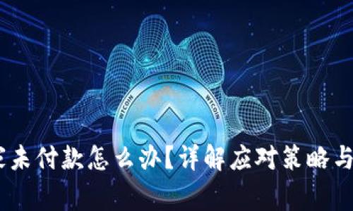 USDT买家未付款怎么办？详解应对策略与解决方案