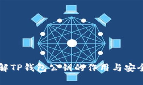 深入了解TP钱包公钥的作用与安全性分析