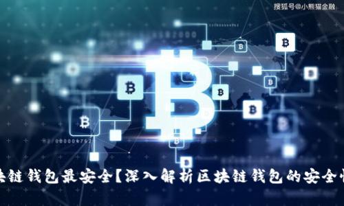 哪个区块链钱包最安全？深入解析区块链钱包的安全性与选择
