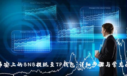 如何将币安上的BNB提现至TP钱包：详细步骤与常见问题解答