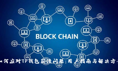 如何应对TP钱包崩溃问题：用户指南与解决方案