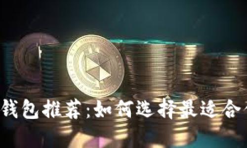 中国数字货币钱包推荐：如何选择最适合你的数字钱包？