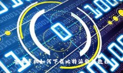 安卓手机如何下载比特派