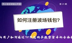 国内用户如何通过TP钱包购买数字货币的全面指南