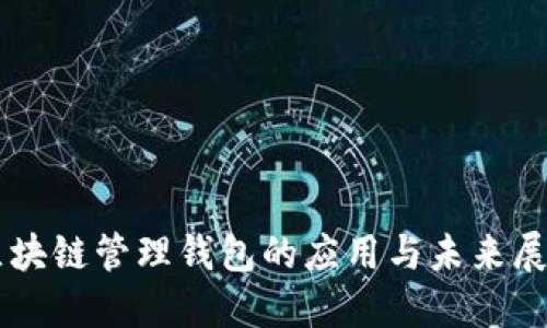 区块链管理钱包的应用与未来展望
