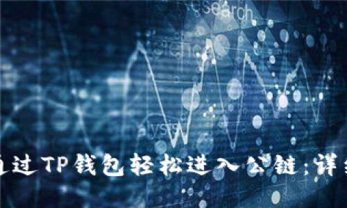 如何通过TP钱包轻松进入公链：详细指南