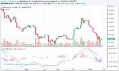 TP钱包合约币完全指南：从基础知识到使用技巧
