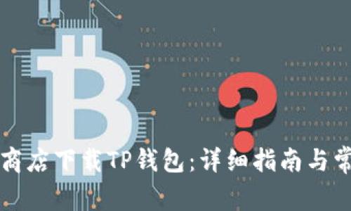 如何在谷歌商店下载TP钱包：详细指南与常见问题解析
