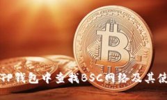 如何在TP钱包中查找BSC网络及其使用指南