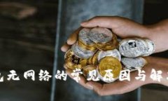 TP钱包无网络的常见原因与解决方案