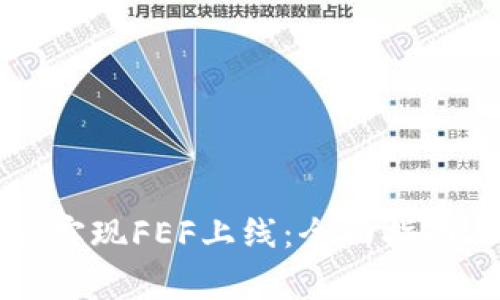 如何在TP钱包上实现FEF上线：全面指南与常见问题解答