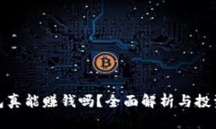 TP钱包真能赚钱吗？全面解析与投资风险