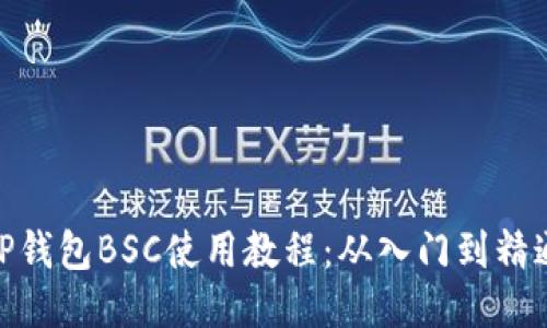TP钱包BSC使用教程：从入门到精通